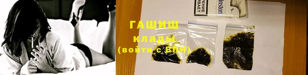 прущие грибы Лабытнанги