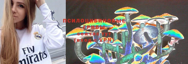 ПСИЛОЦИБИНОВЫЕ ГРИБЫ Лихославль