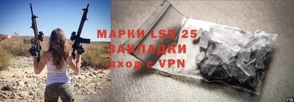 ПСИЛОЦИБИНОВЫЕ ГРИБЫ Лихославль
