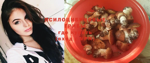 Альфа ПВП Липки