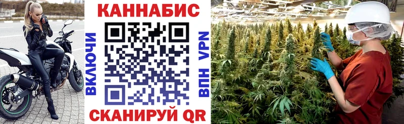 МАРИХУАНА THC 21%  наркотики  Пудож 